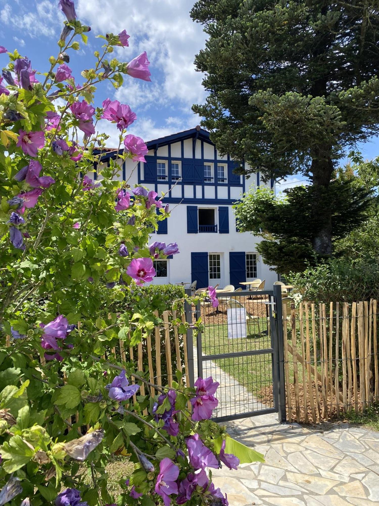 Kaliko Otel Bidart Oda fotoğraf
